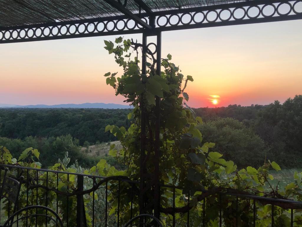 Agriturismo Cerrosughero Канино Экстерьер фото